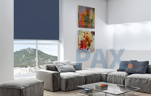 rolgordijn met casette