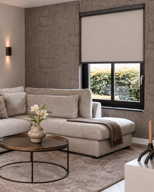 Rolgordijn In Modern Interieur